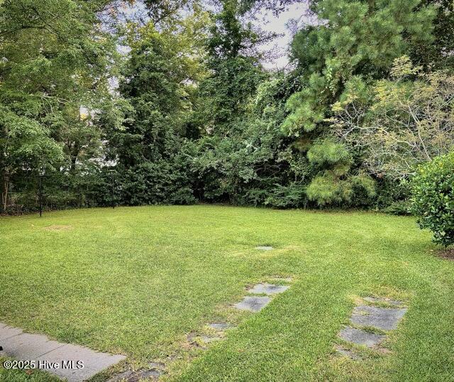 1204 Morningside Drive Kinston, NC 28501 - Photo 25 of 29 backyard 2 Medium
