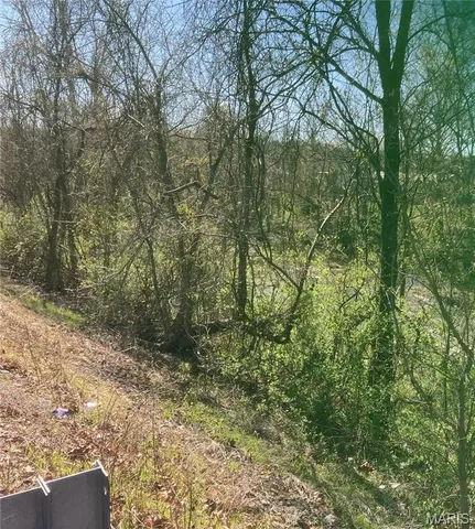 $14,000 | 0 Hwy E-veterans Highway, De Soto, MO 63020