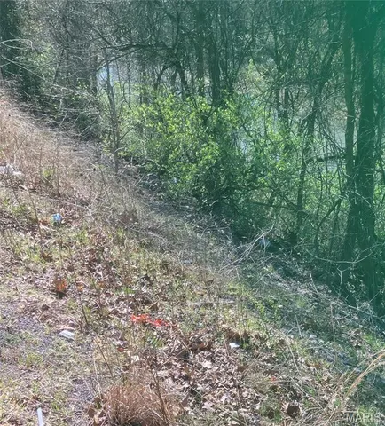 $14,000 | 0 Hwy E-veterans Highway, De Soto, MO 63020