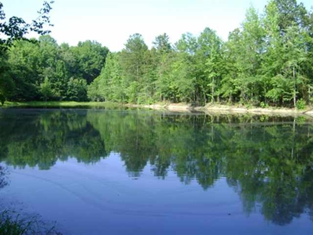 0 Flat Rock Road, Unit MOSES LANE Iva, SC 29655 - Photo 2 of 3