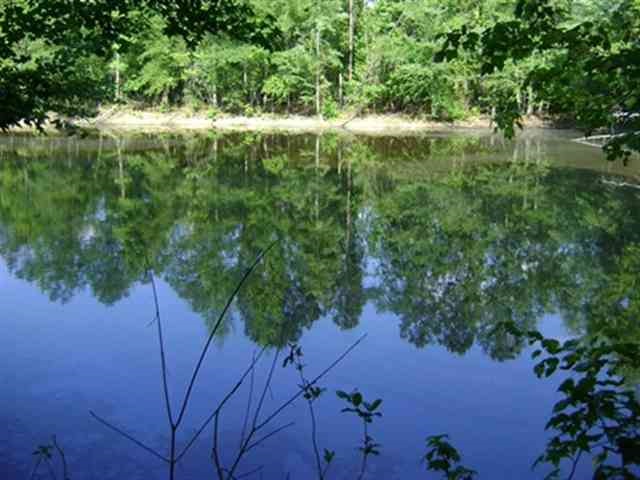 0 Flat Rock Road, Unit MOSES LANE Iva, SC 29655 - Photo 3 of 3