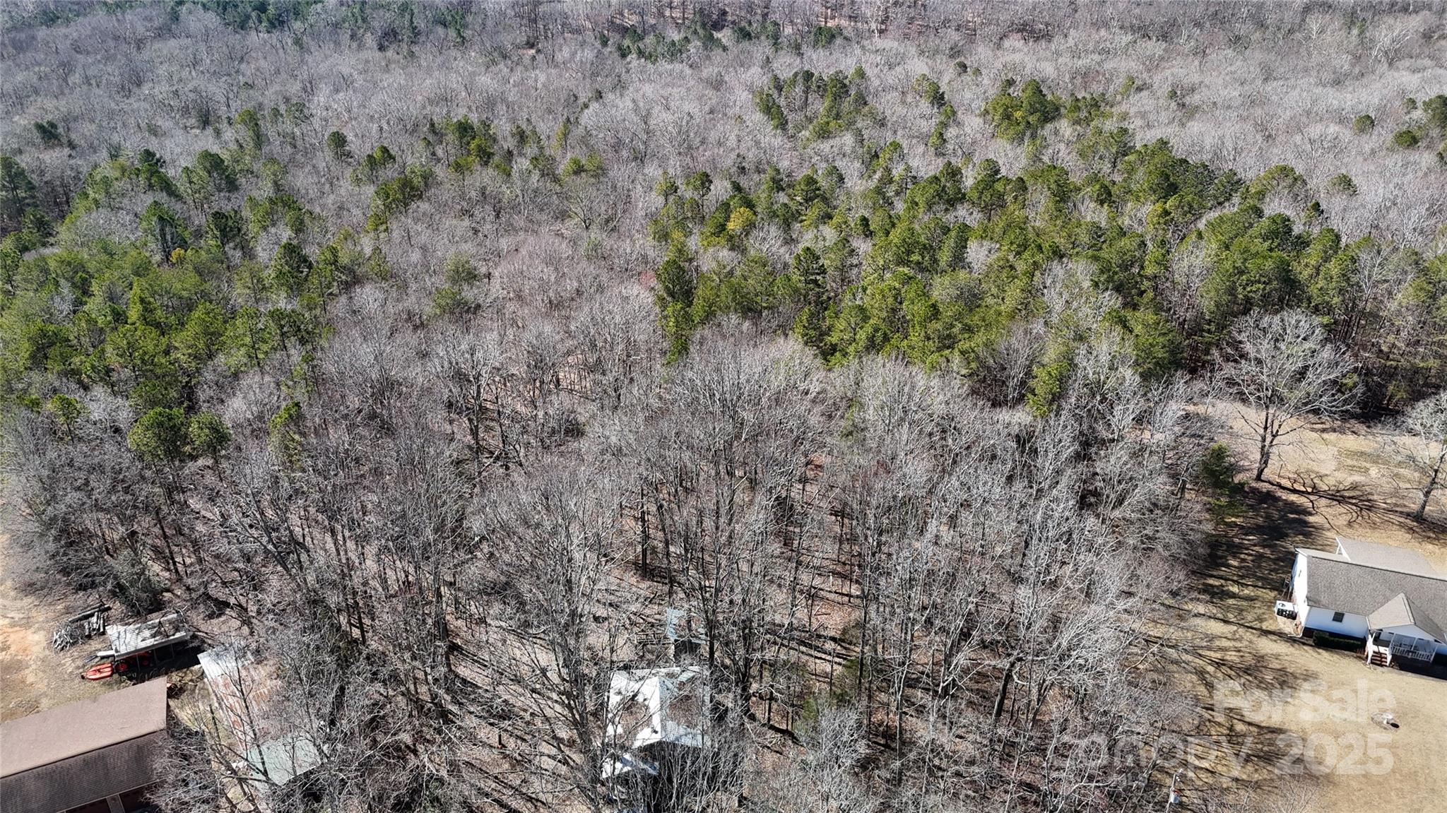 a view of a forest with trees in the background
