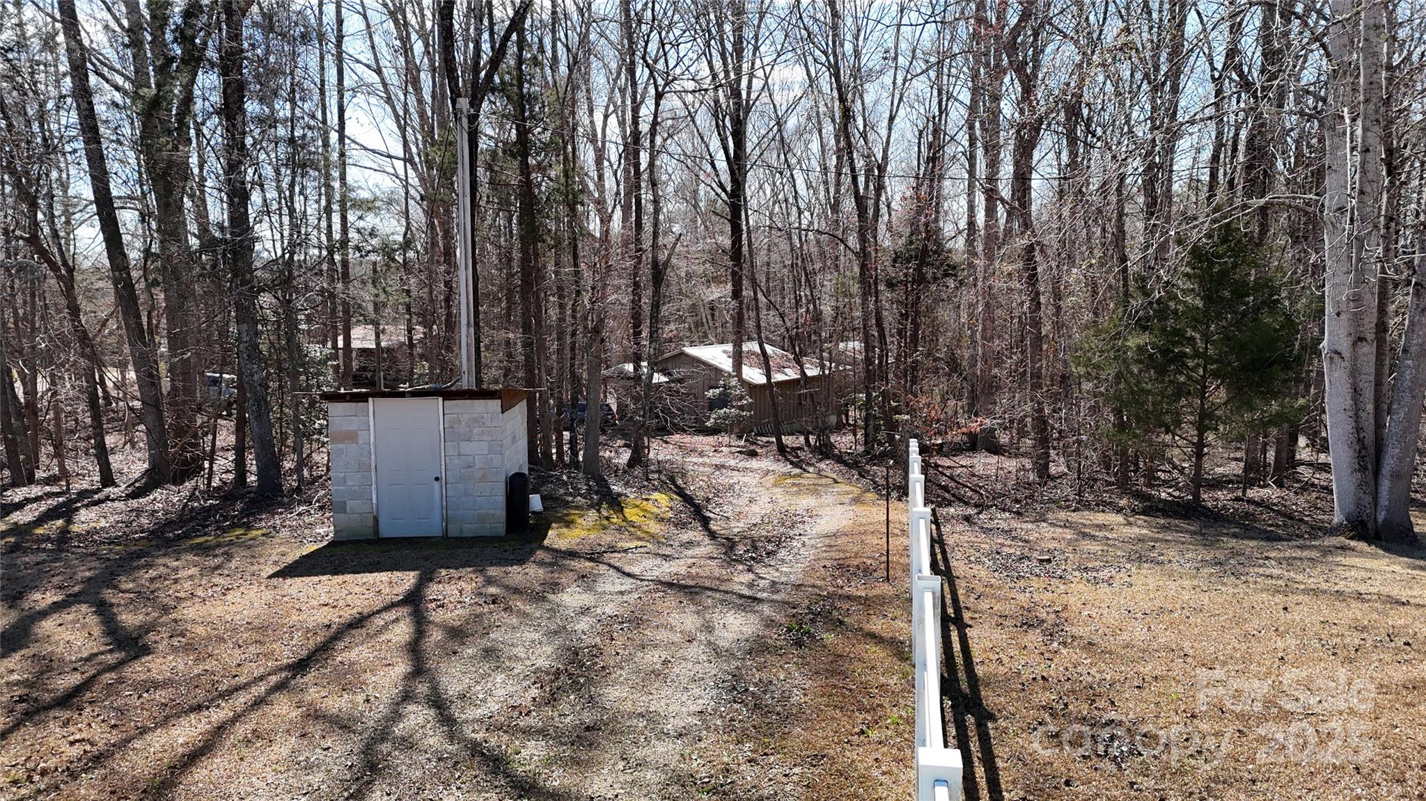288 Brannon Road Union, SC 29379 - Photo 11 of 11 a view of a forest with trees in the background