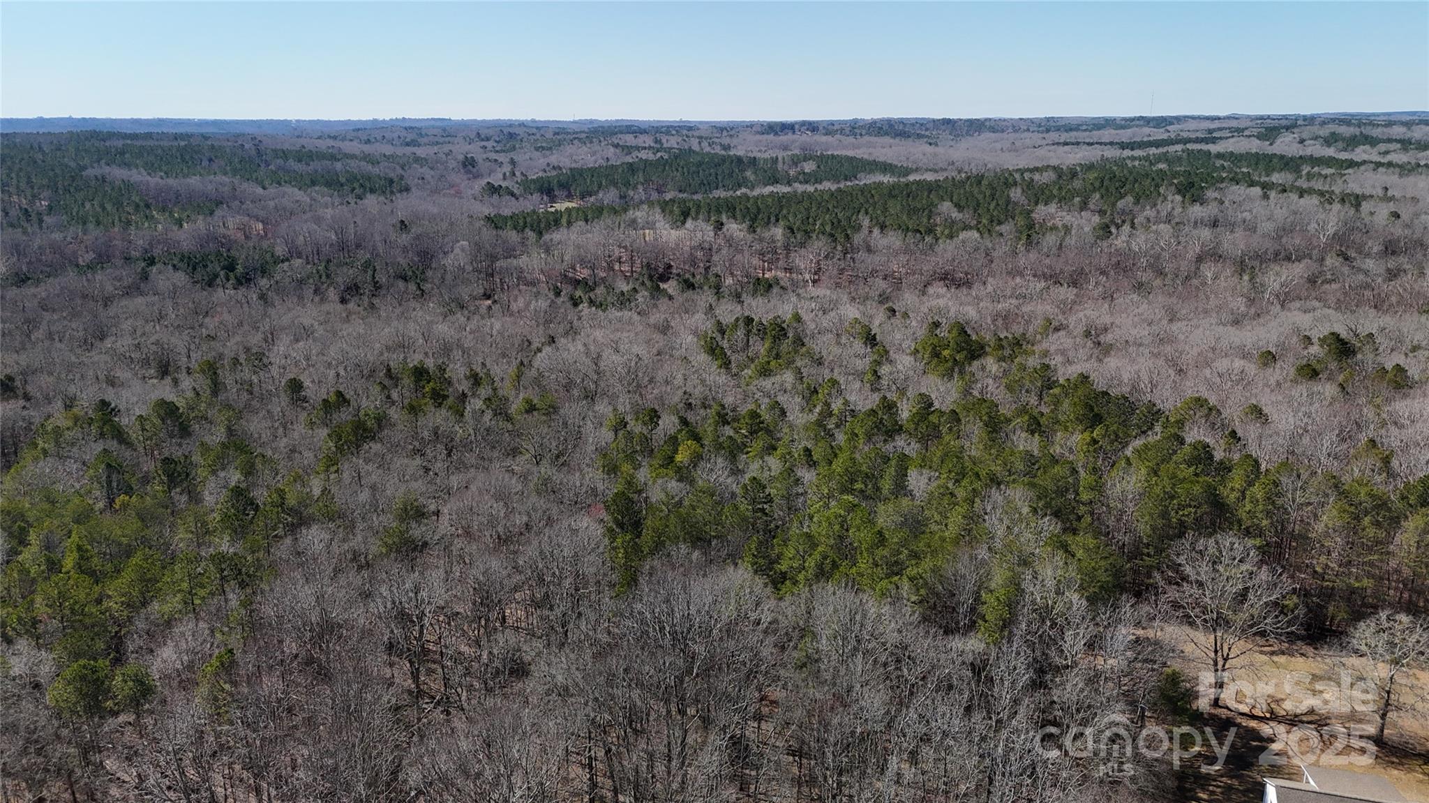 288 Brannon Road Union, SC 29379 - Photo 2 of 11 a view of a lush green forest with trees in the background