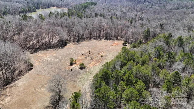 a view of a dry yard covered with trees