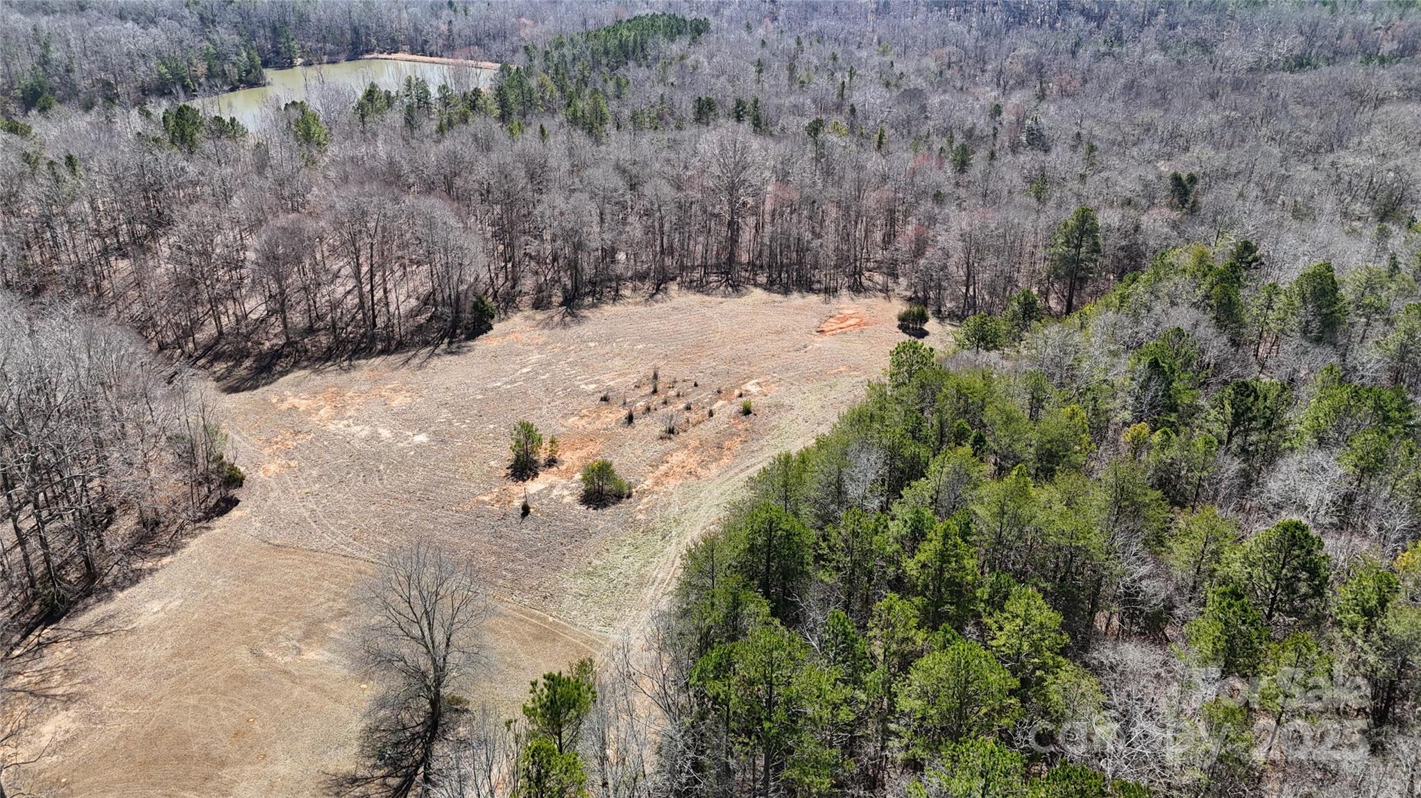 288 Brannon Road Union, SC 29379 - Photo 3 of 11 a view of a dry yard covered with trees