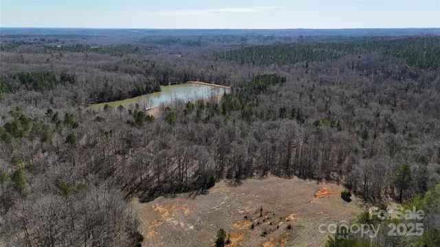 a view of a dry yard