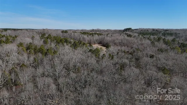 a view of a field of grass and trees
