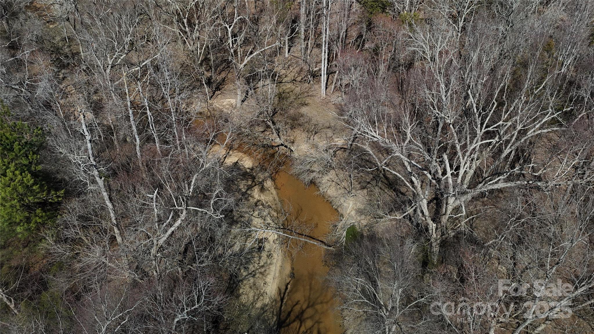 288 Brannon Road Union, SC 29379 - Photo 7 of 11 a view of a forest with lots of trees
