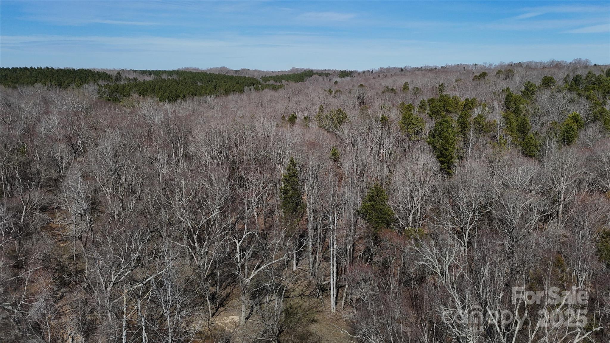 288 Brannon Road Union, SC 29379 - Photo 8 of 11 a view of mountain with lake view