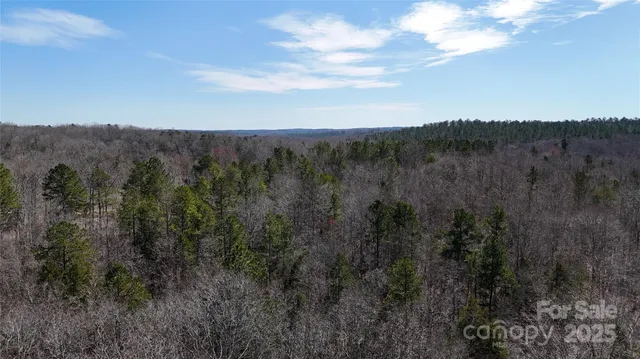 a view of outdoor space with deck and trees