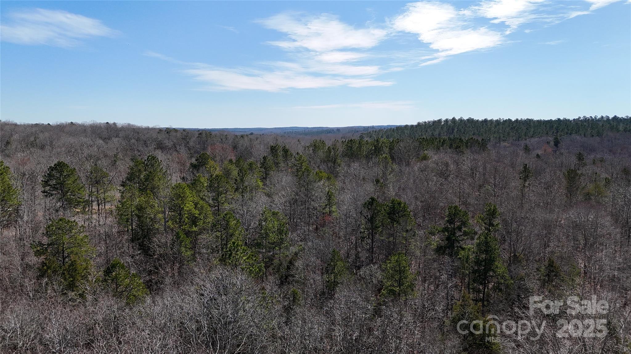 288 Brannon Road Union, SC 29379 - Photo 9 of 11