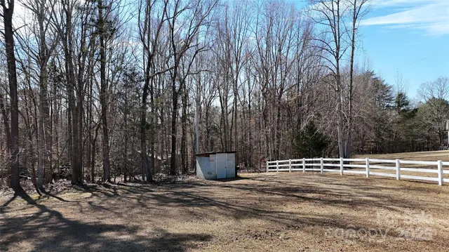 a view of a forest with trees in the background