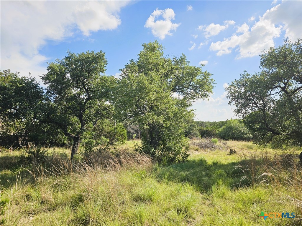 100 Reavis Drive Kempner, TX 76539 - Photo 16 of 33