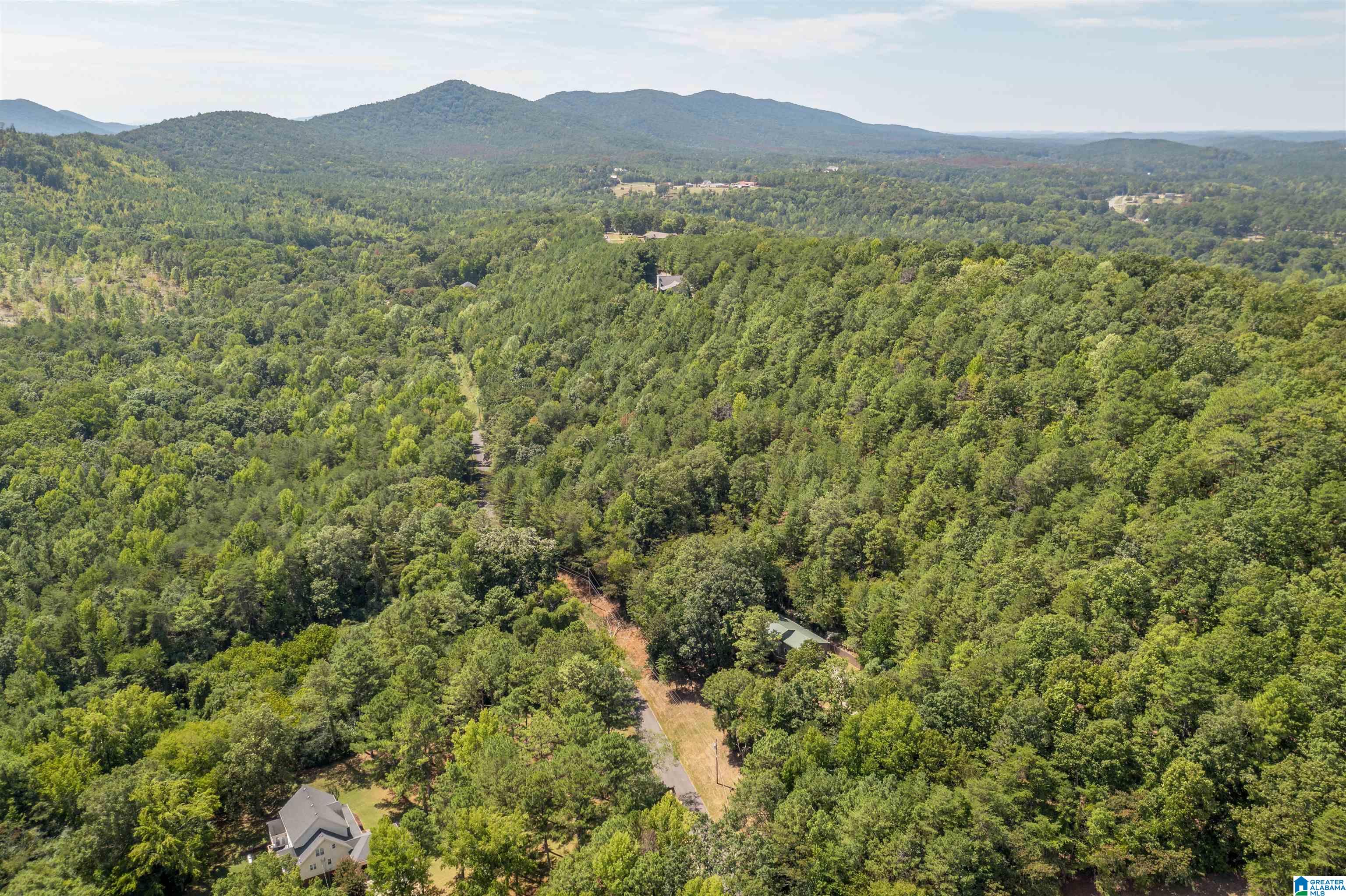 314 Oak Ridge Lane Piedmont, AL 36272 - Photo 36 of 37