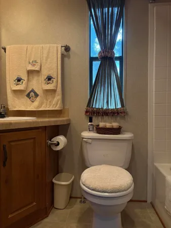 a bathroom with a toilet a sink and a mirror