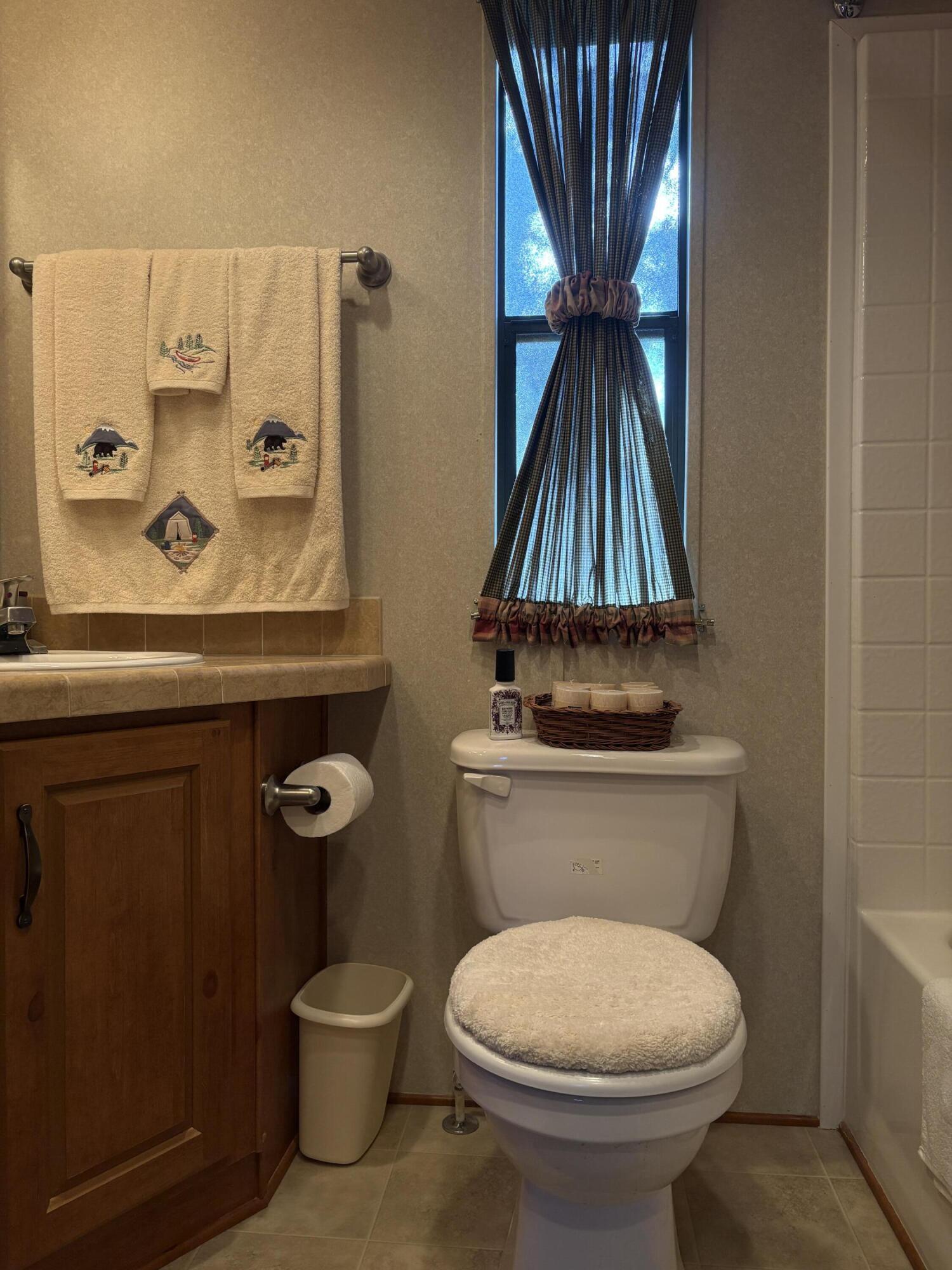52901 Pine Cove Road, Unit 42 Idyllwild, CA 92549 - Photo 12 of 28 Bathroom