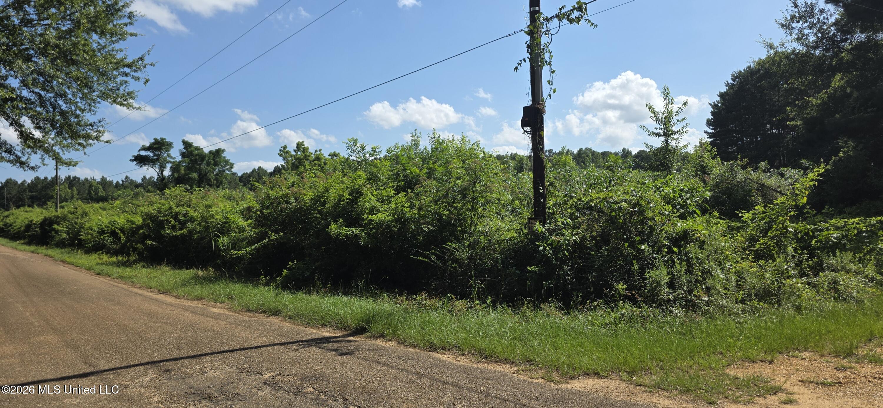 2046 Barto Leggett Road McComb, MS 39648 - Photo 18 of 29 20260623_160915