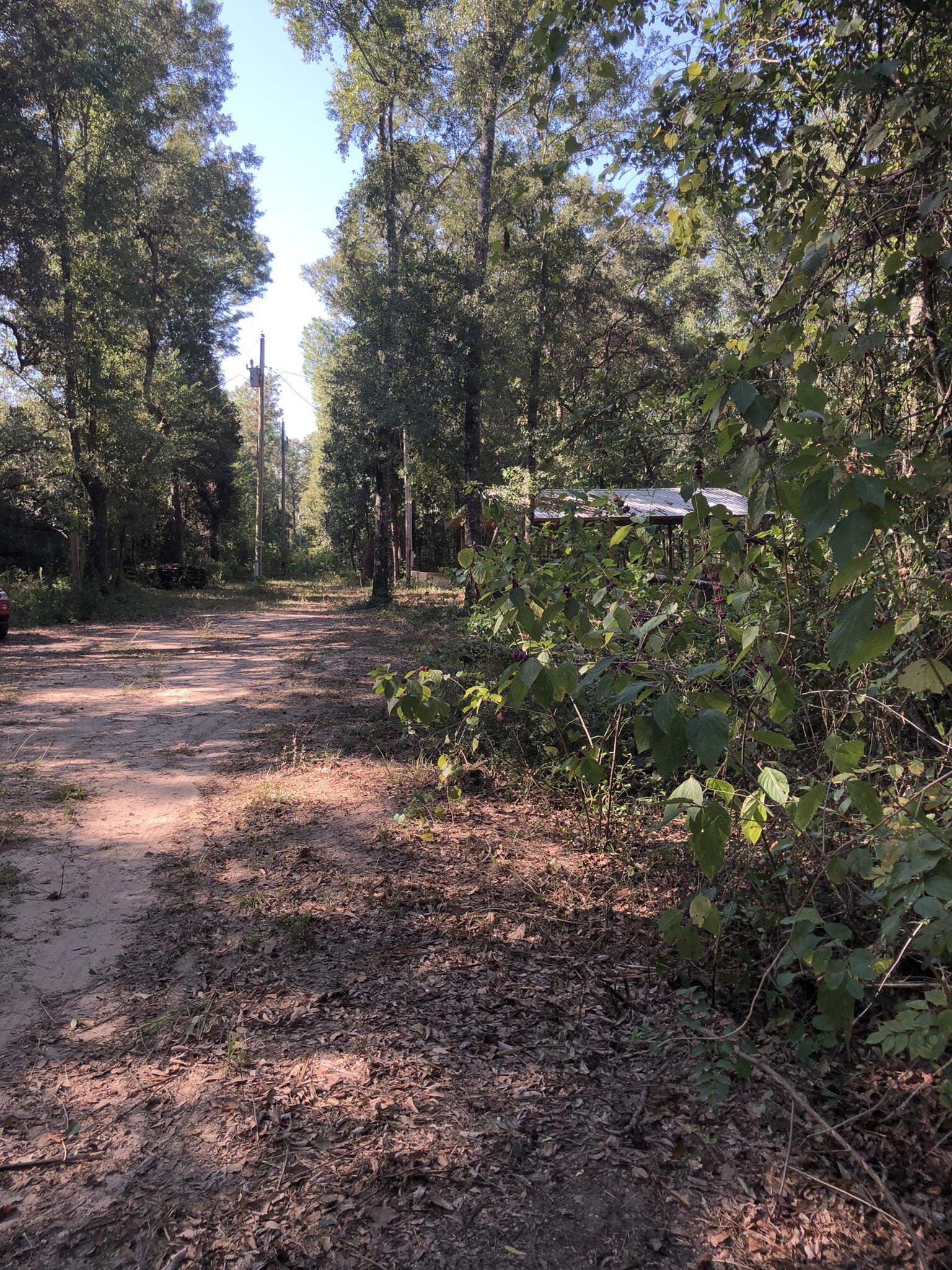 17457 Rigby Lane Summerdale, AL 36580 - Photo 11 of 21