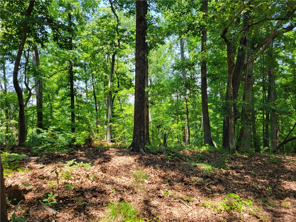306 Foxfire Road Central, SC 29630 - Photo 9 of 12