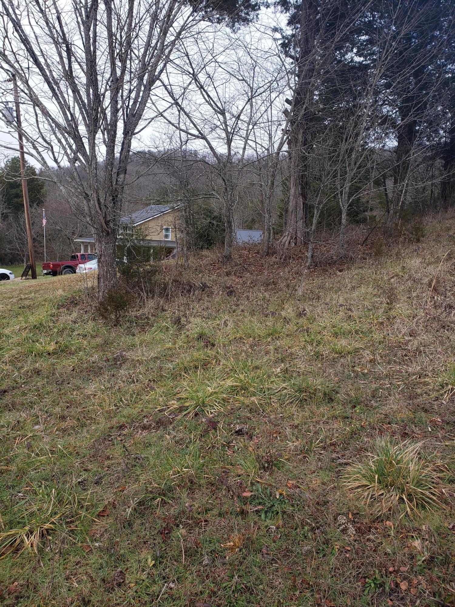 1655 Pilot Mountain Road Bulls Gap, TN 37711 - Photo 61 of 83 20210103_123013