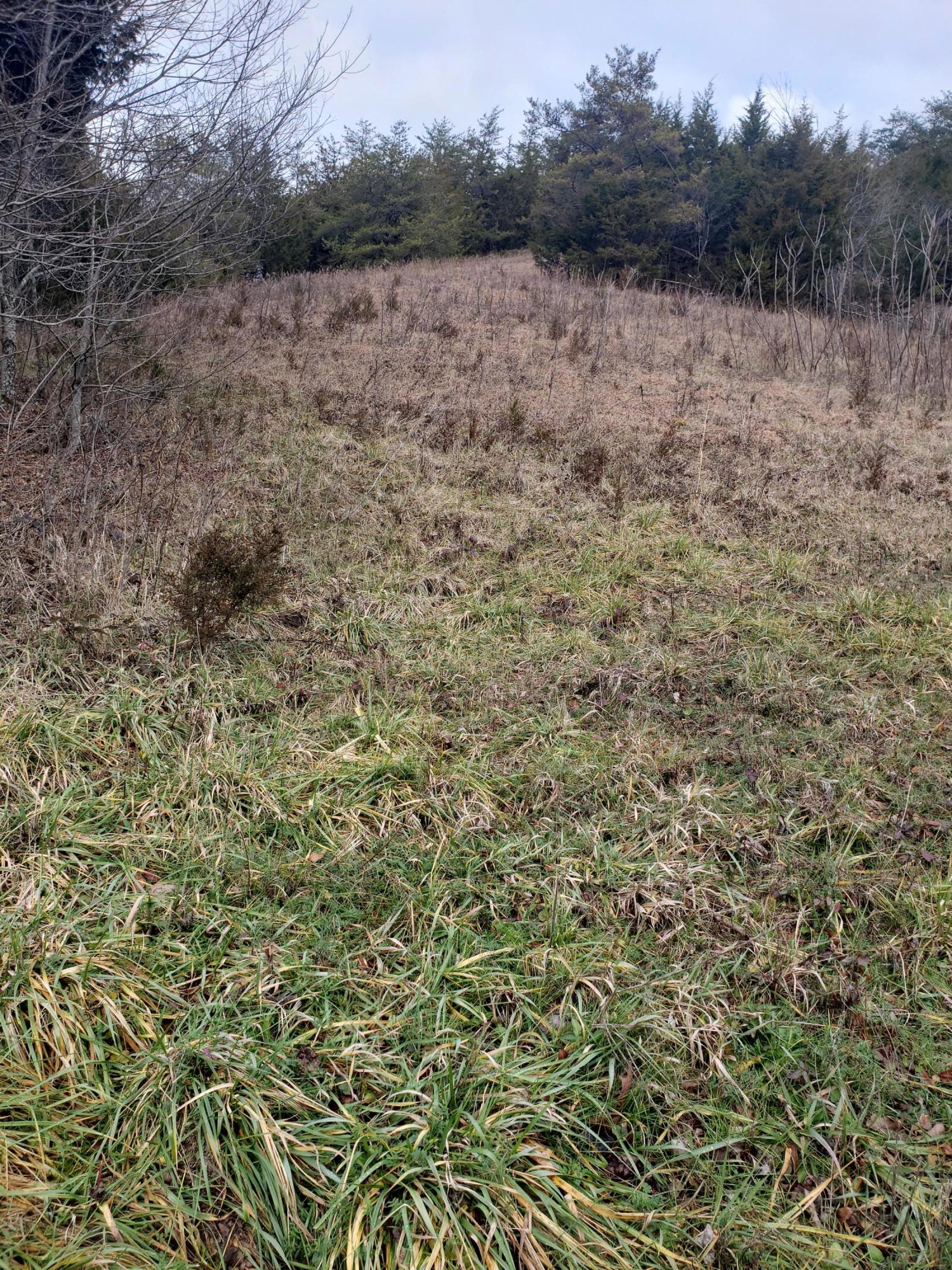 1655 Pilot Mountain Road Bulls Gap, TN 37711 - Photo 63 of 83 20210103_122945