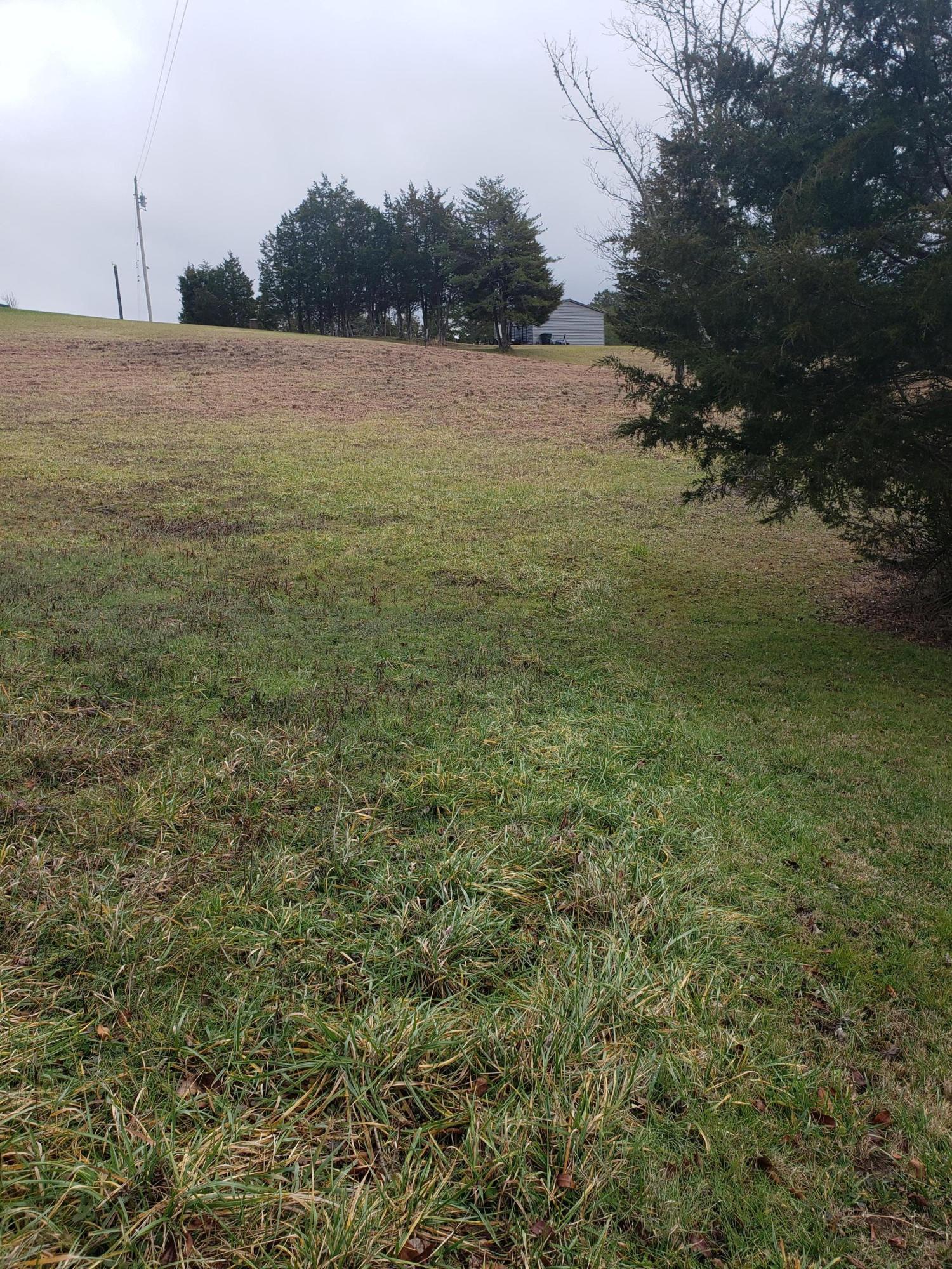 1655 Pilot Mountain Road Bulls Gap, TN 37711 - Photo 65 of 83 20210103_122930