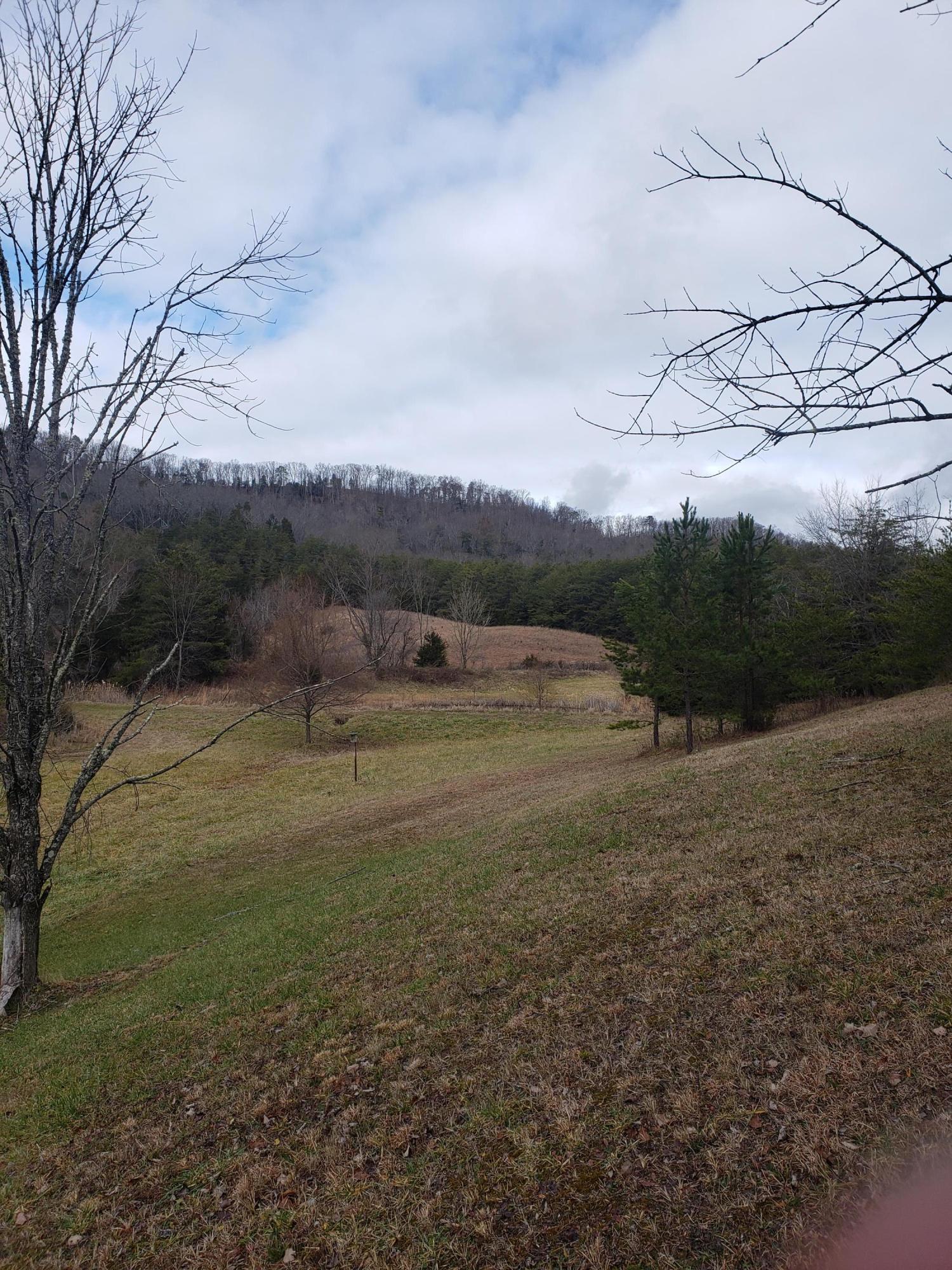 1655 Pilot Mountain Road Bulls Gap, TN 37711 - Photo 67 of 83 20210103_122823
