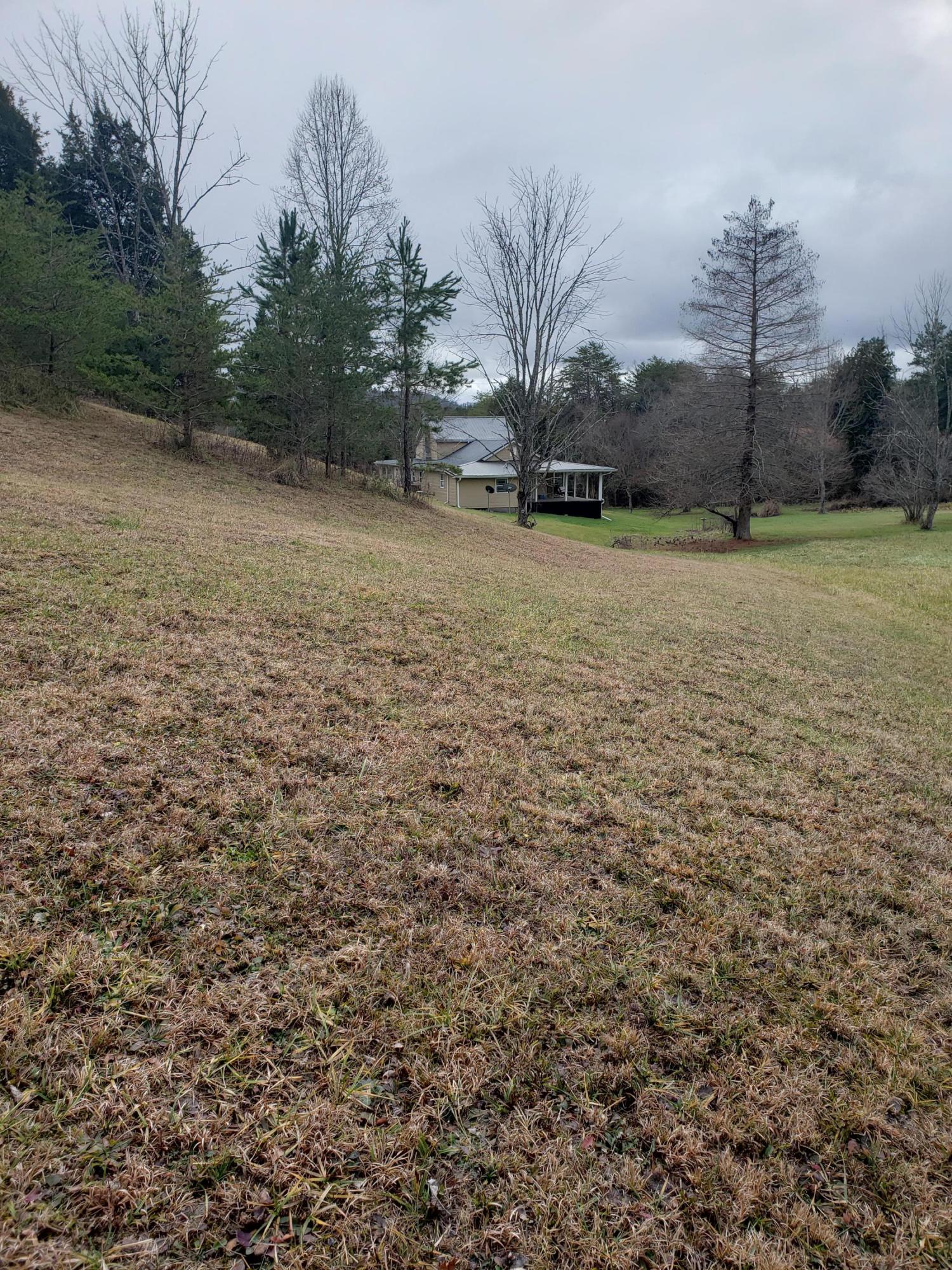 1655 Pilot Mountain Road Bulls Gap, TN 37711 - Photo 68 of 83 20210103_122729