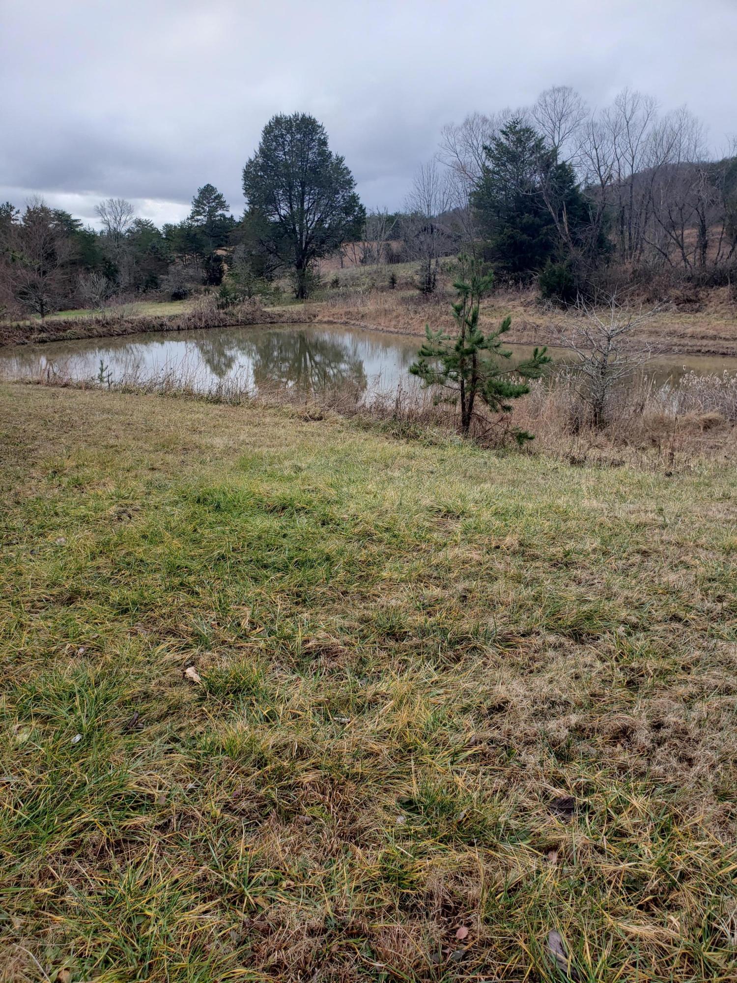 1655 Pilot Mountain Road Bulls Gap, TN 37711 - Photo 70 of 83 20210103_122359