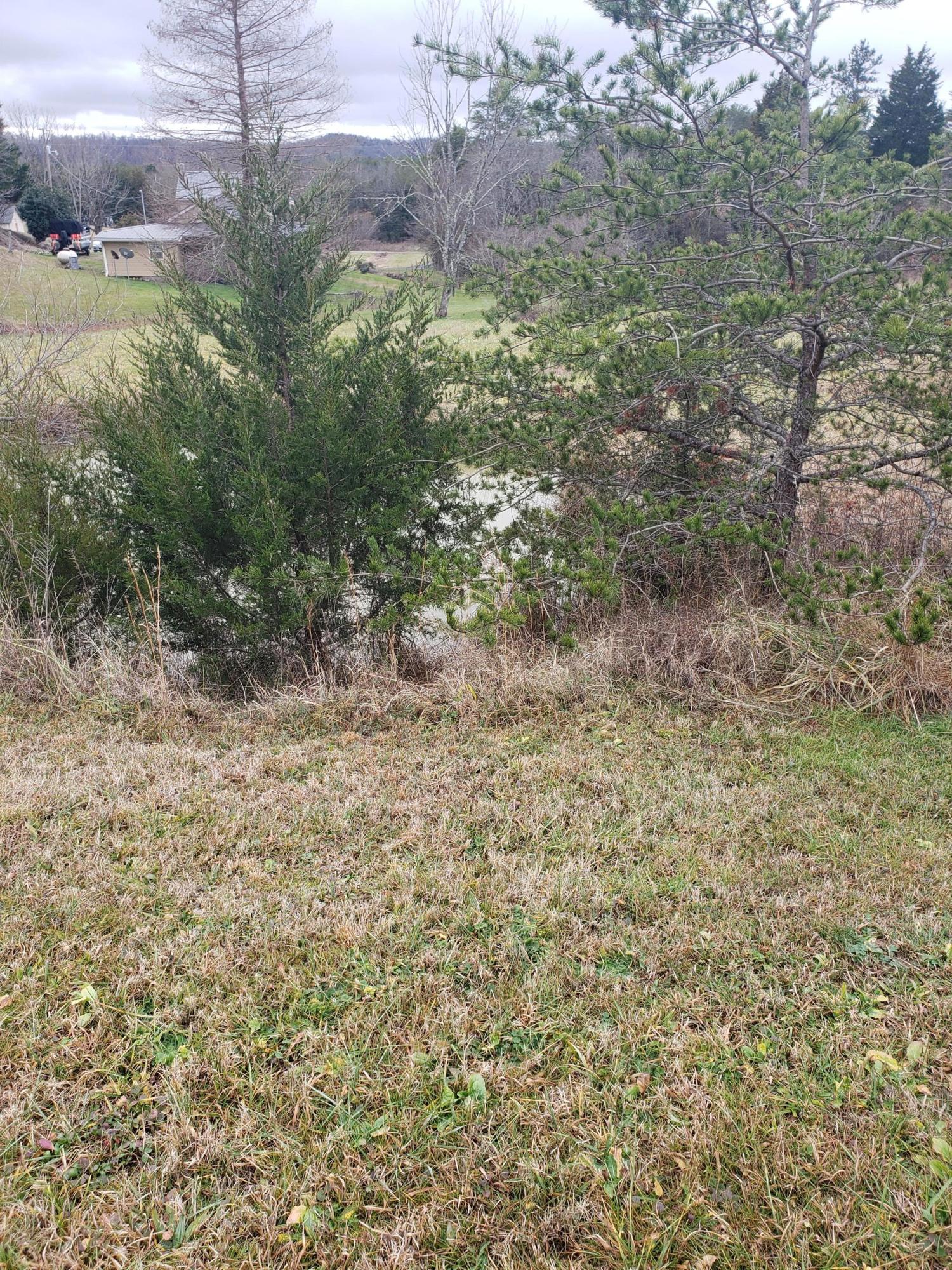 1655 Pilot Mountain Road Bulls Gap, TN 37711 - Photo 73 of 83 20210103_122226