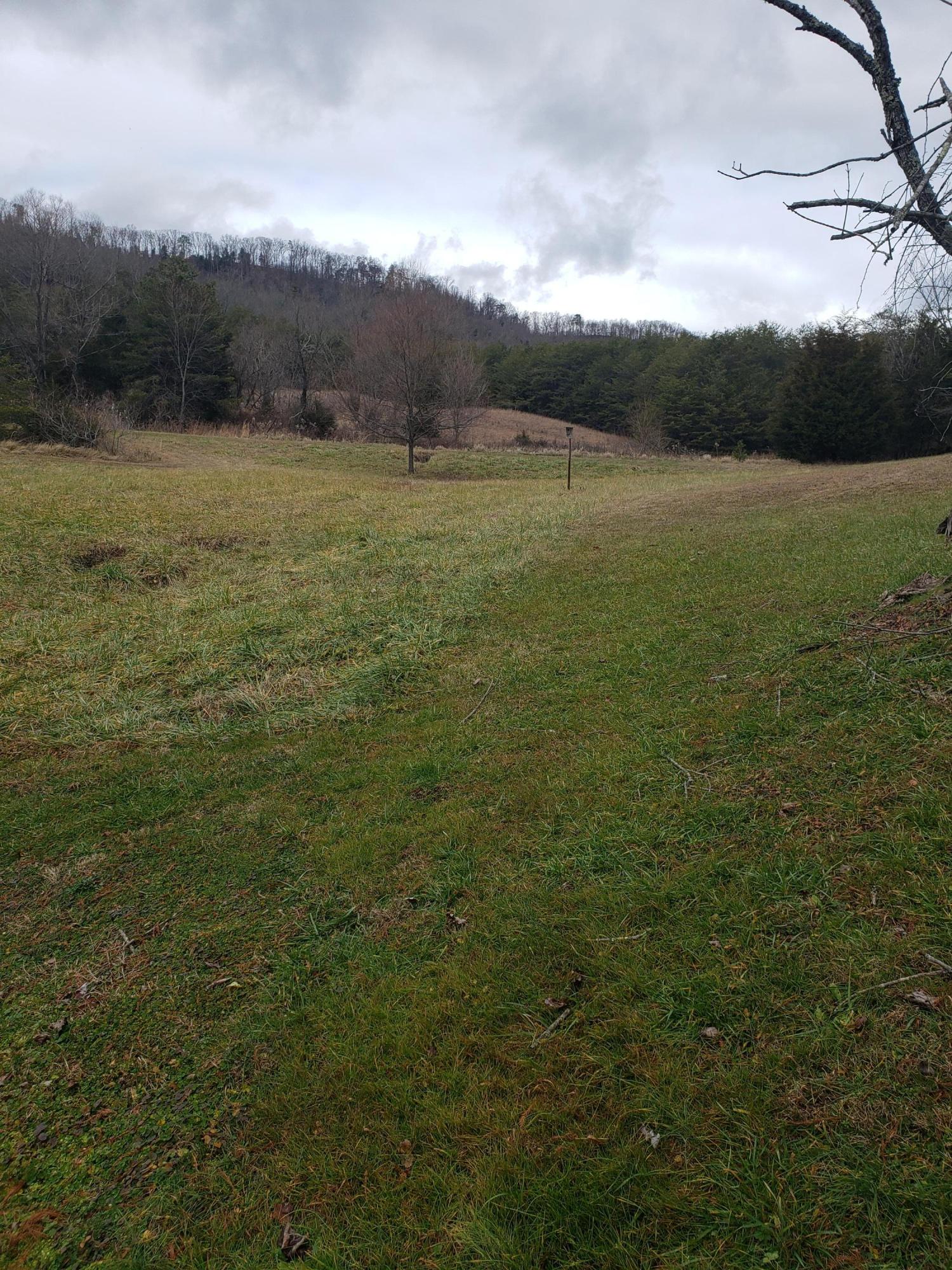 1655 Pilot Mountain Road Bulls Gap, TN 37711 - Photo 80 of 83 20210103_121712