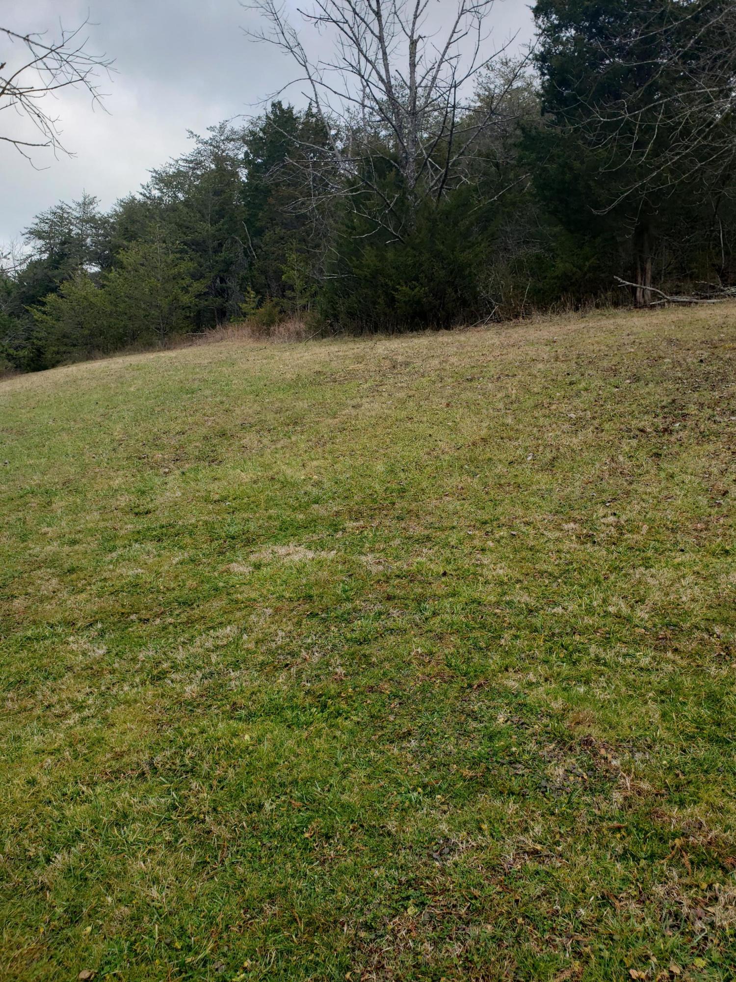 1655 Pilot Mountain Road Bulls Gap, TN 37711 - Photo 81 of 83 20210103_121659