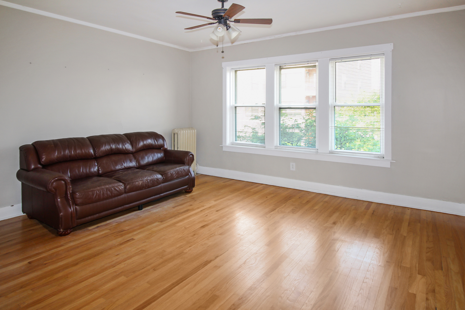 125 North Addison Avenue, Unit 3 Elmhurst, IL 60126 - Photo 4 of 16 a living room with couch and a window