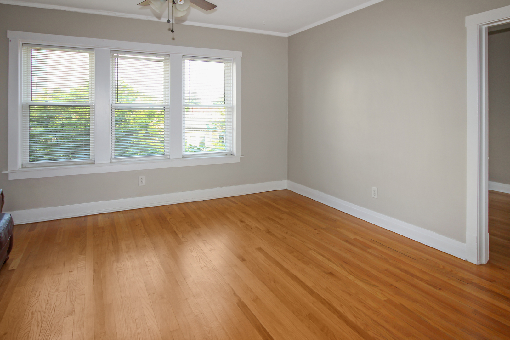 125 North Addison Avenue, Unit 3 Elmhurst, IL 60126 - Photo 5 of 16 an empty room with wooden floor and windows