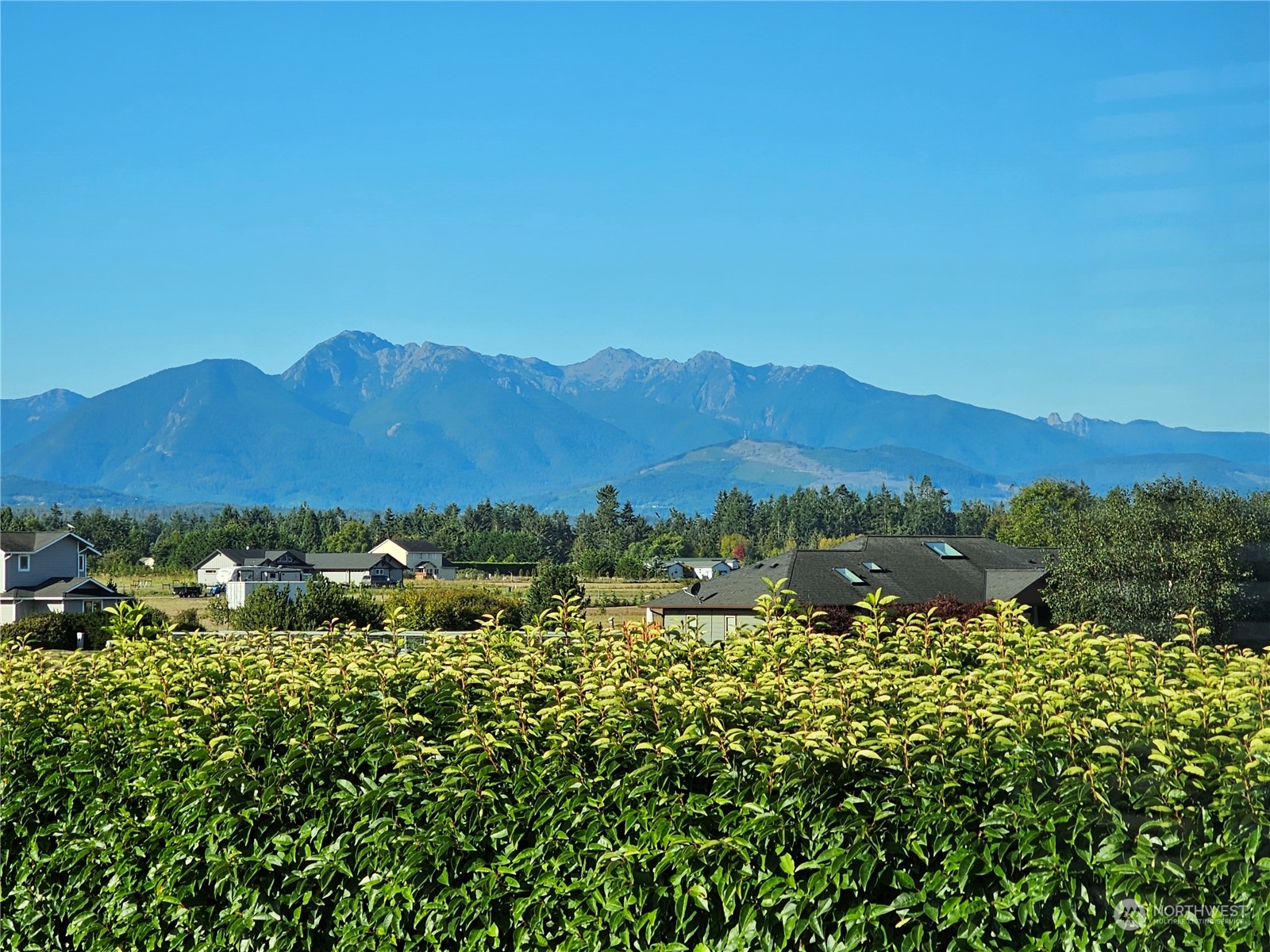 190 Greywolf Road Sequim, WA 98382 - Photo 16 of 40 a view of a lush green field with mountains in the background