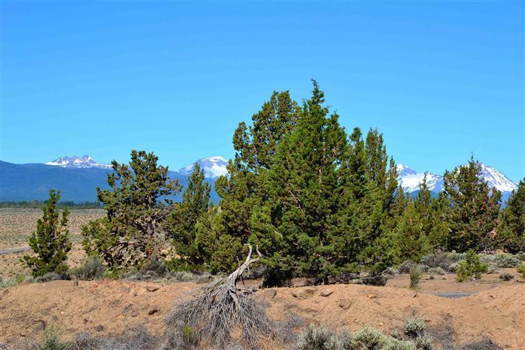 64630 Bill Martin Road Bend, OR 97703 - Photo 9 of 24 Additional Photo