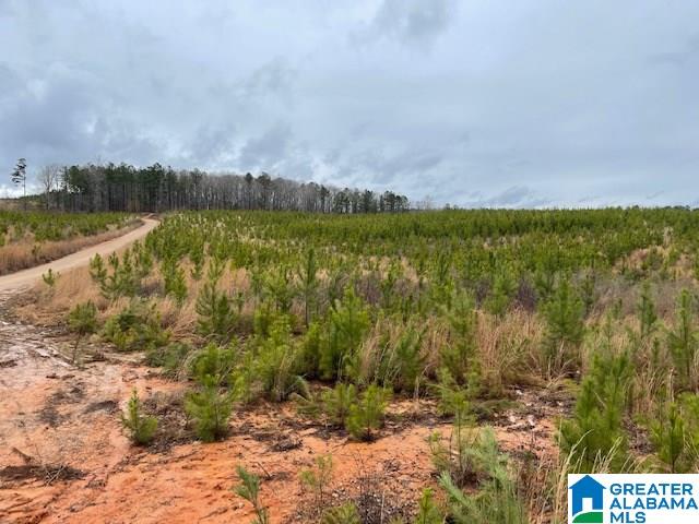 59 County Road, Unit 30 Heflin, AL 36264 - Photo 2 of 24