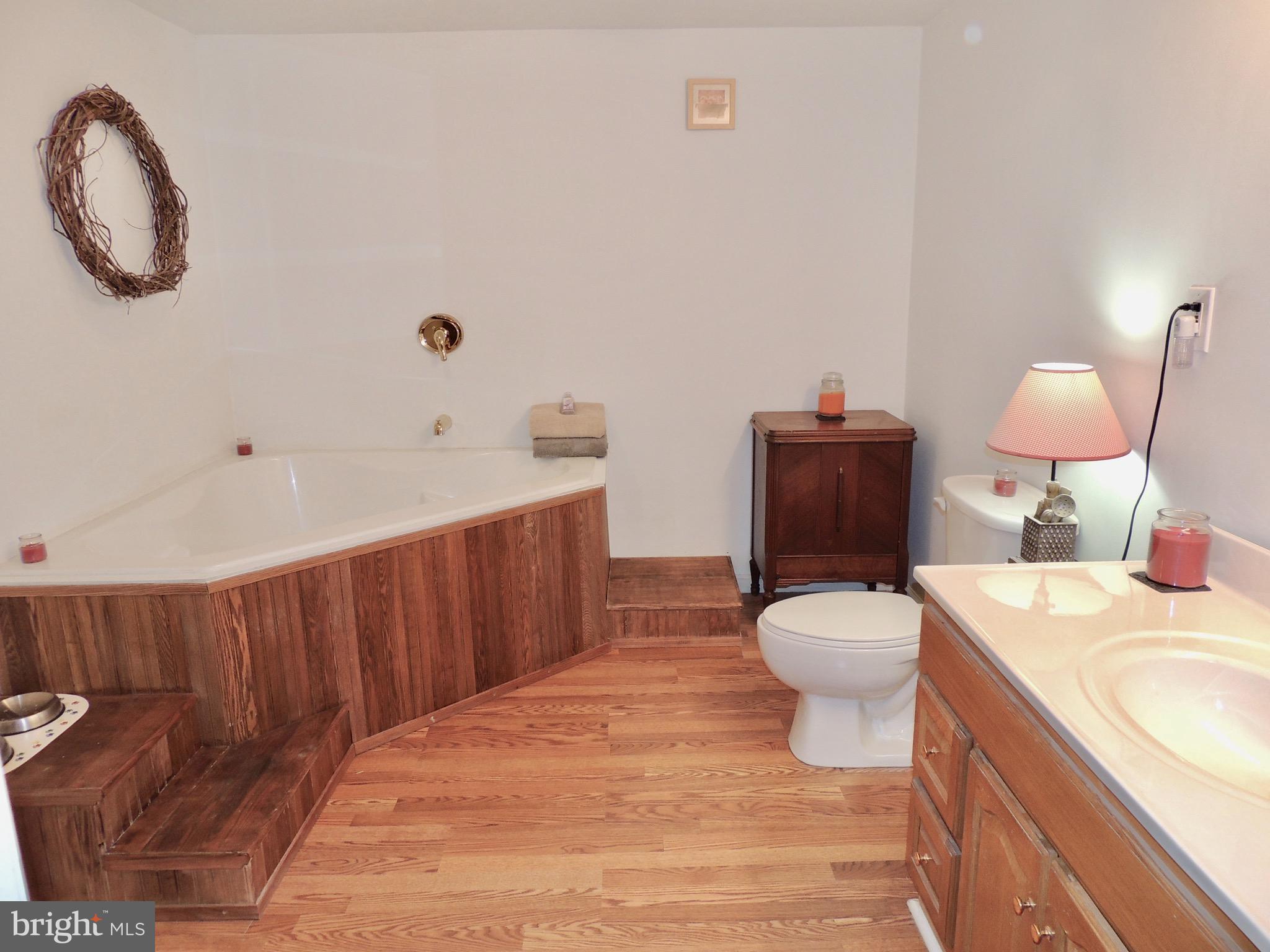 8152 George Road New Tripoli, PA 18066 - Photo 14 of 24 Lower Level Master Bath with Soaking tub