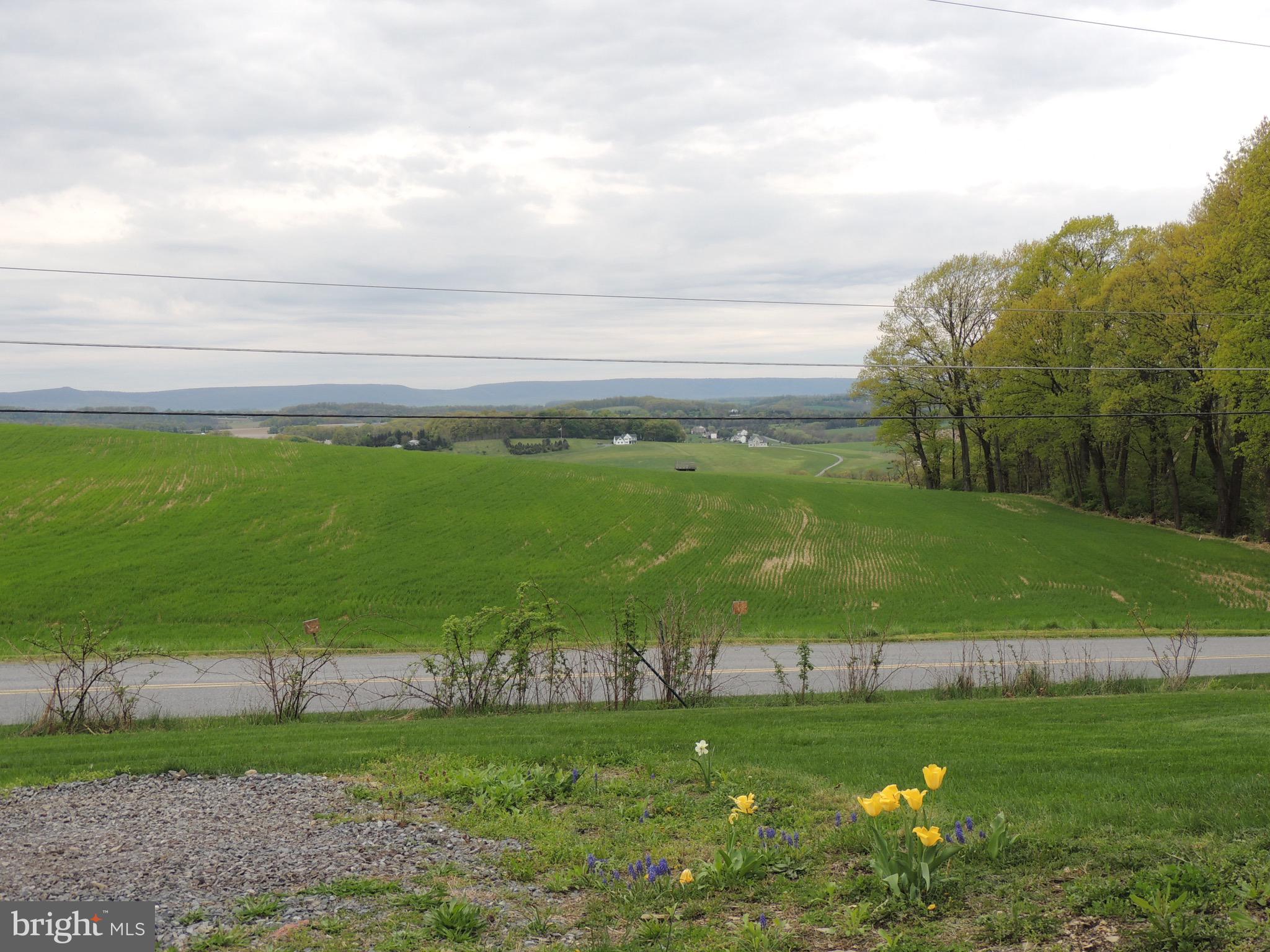 8152 George Road New Tripoli, PA 18066 - Photo 22 of 24 Views from the front door