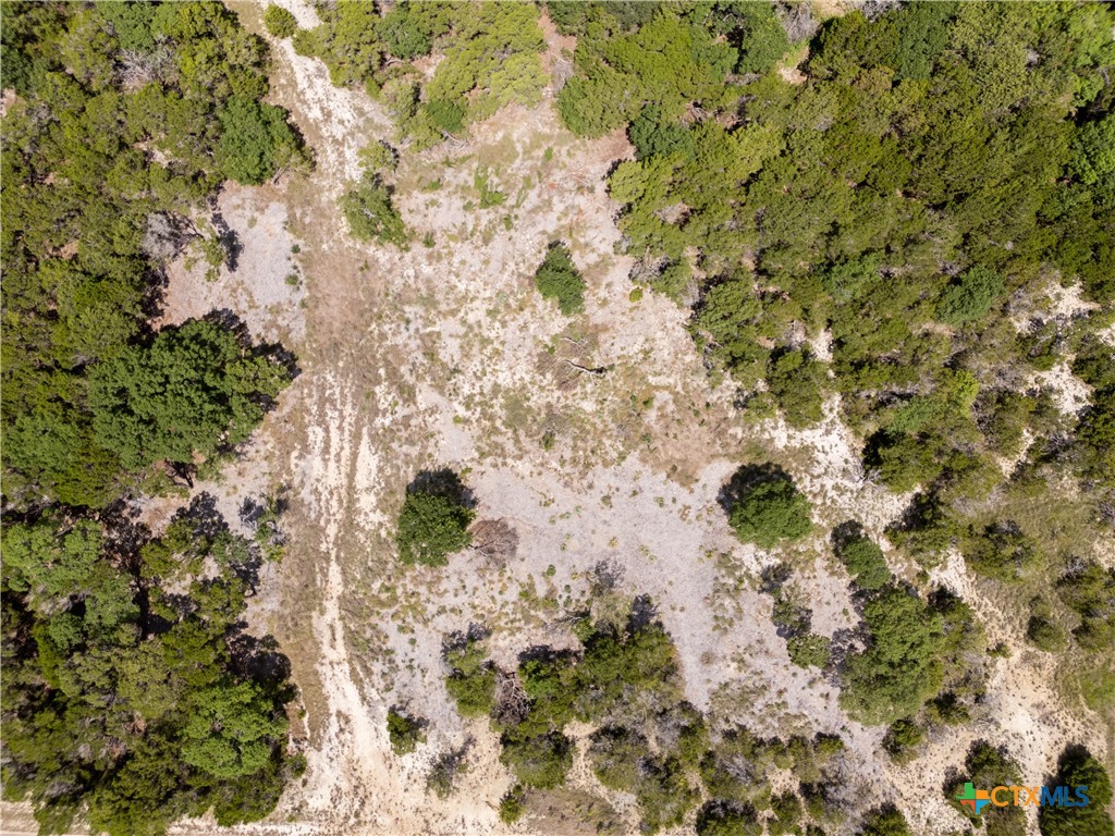 1259 Windy Hill Road Salado, TX 76571 - Photo 5 of 6