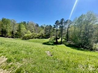 0 Lake Lynn Road Concord, NC 28025 - Photo 12 of 20 Gallery Image 12