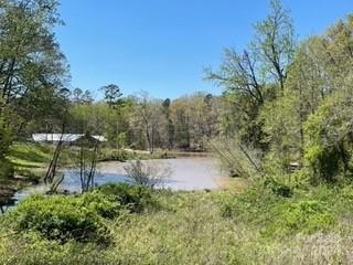0 Lake Lynn Road Concord, NC 28025 - Photo 13 of 20 Gallery Image 13