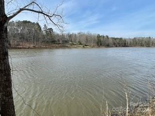 0 Lake Lynn Road Concord, NC 28025 - Photo 19 of 20 Gallery Image 19