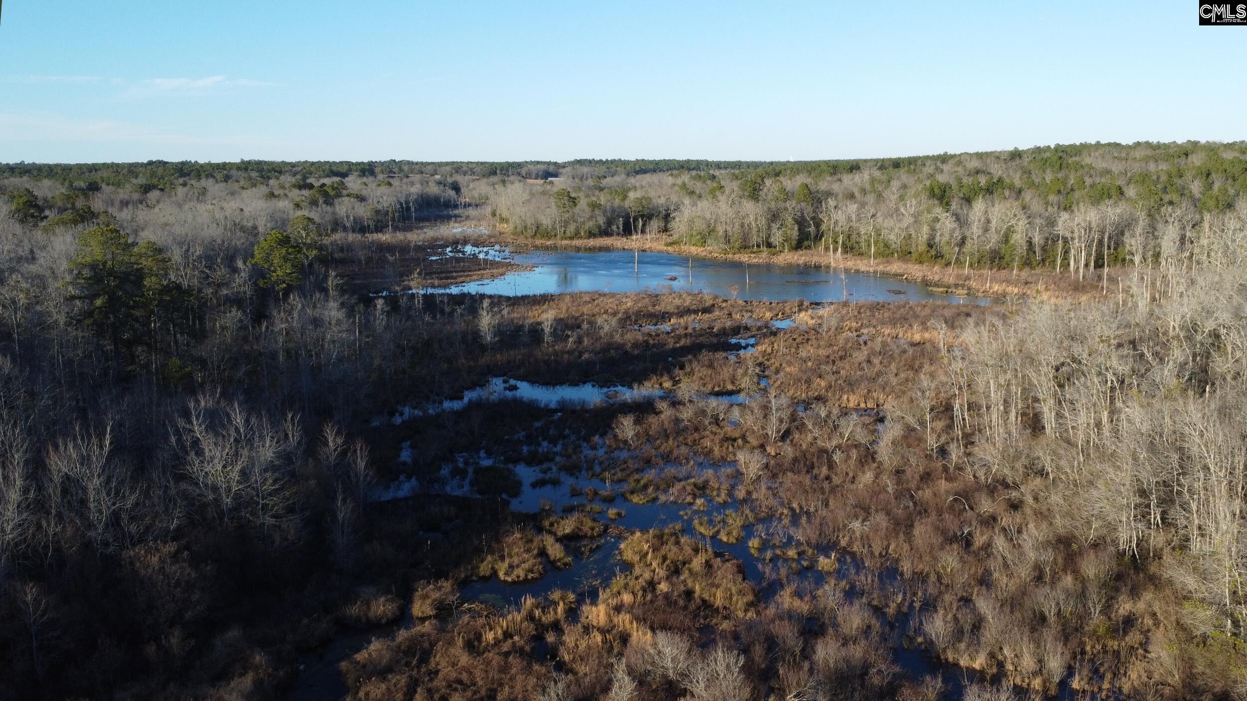 Tbd Tbd Millers Pond Road Salley, SC 29137 - Photo 3 of 20