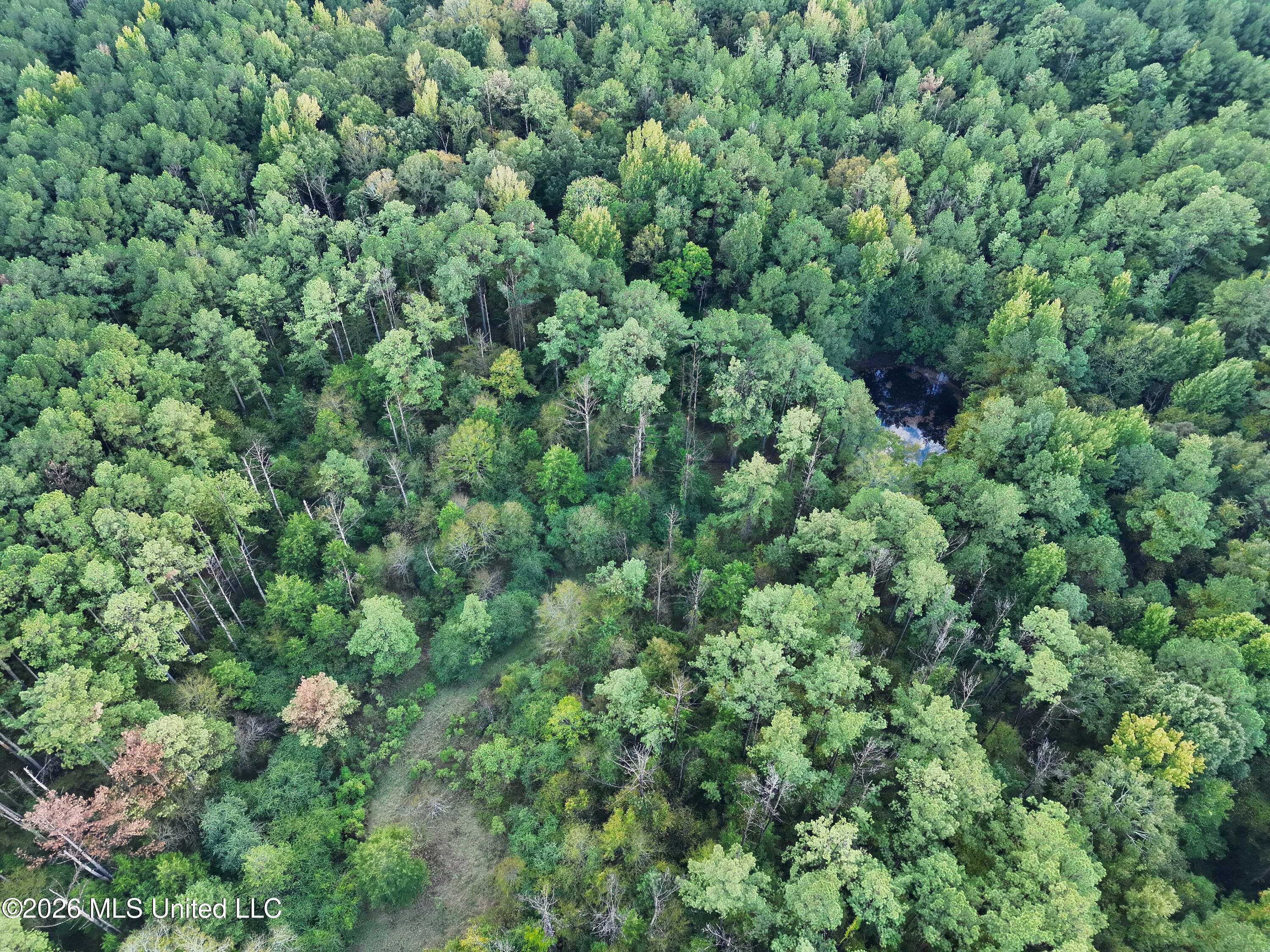4167 County Road Sallis, MS 39160 - Photo 35 of 38 org_4816cf67acc1ec92_1790118760000