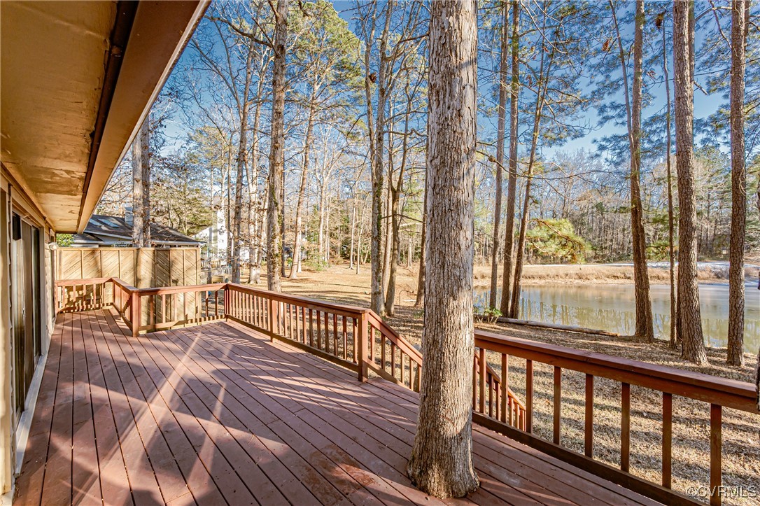 3106 3 Bridges Road Midlothian, VA 23112 - Photo 42 of 44