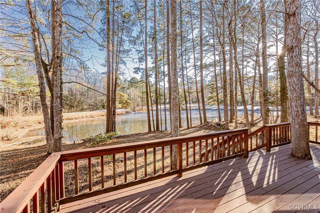 3106 3 Bridges Road Midlothian, VA 23112 - Photo 43 of 44