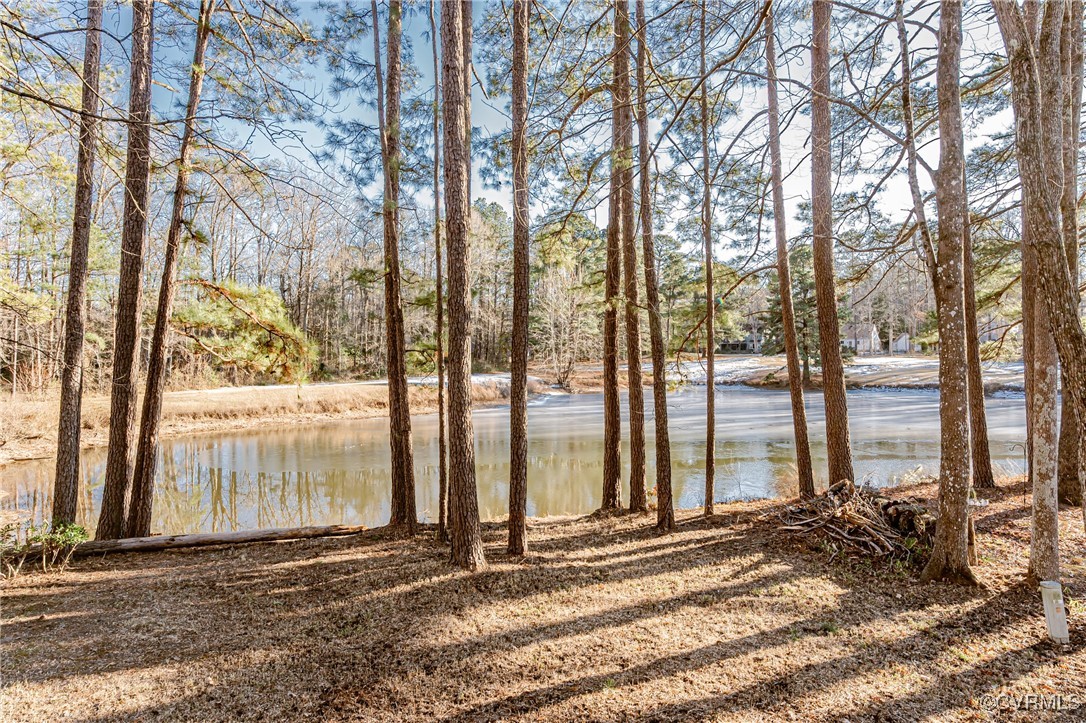3106 3 Bridges Road Midlothian, VA 23112 - Photo 44 of 44