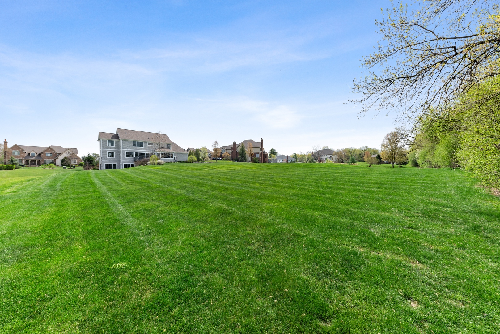 26070 West Sunset Road Barrington, IL 60010 - Photo 30 of 30 a backyard of a house with lots of green space and fog